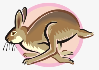 Hase Clipart, HD Png Download, Free Download