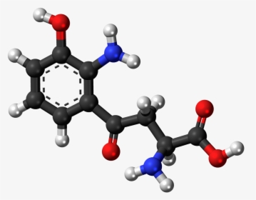 Psilocybin 3d Structure, HD Png Download, Free Download