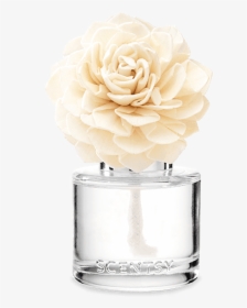 Scentsy Fragrance Flower - Aloe Water And Cucumber Fragrance Flower Scentsy, HD Png Download, Free Download