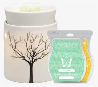 Tilia Scentsy Warmer, HD Png Download, Free Download