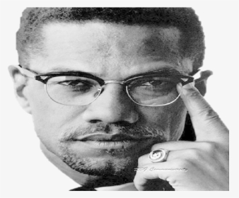 You Can"t Hate The Roots Of A Tree, Malcolm X - Malibu Pier, HD Png Download, Free Download
