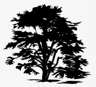 Free Tree Clipart Black And White Png, Transparent Png, Free Download