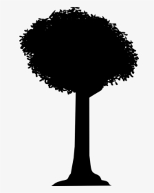 Silhouette, Tree, Shadow, Vector, Black, Dark, Nature - Black Tree Shadow, HD Png Download, Free Download