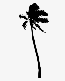 Transparent Palm Trees Silhouette, HD Png Download, Free Download
