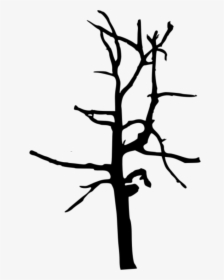 #trees #tree #foliage #shadow #black #nature #plants - Simple Tree Branch Silhouette, HD Png Download, Free Download