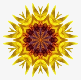 Sunflower Kaleidoscope - Sunflower, HD Png Download, Free Download