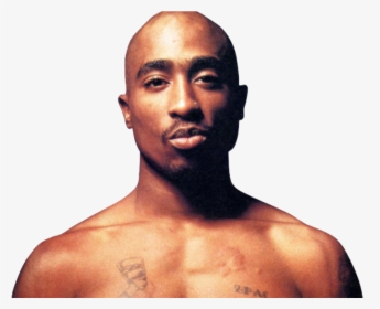 Tupac Shakur Png Image - Tupac Shakur, Transparent Png, Free Download