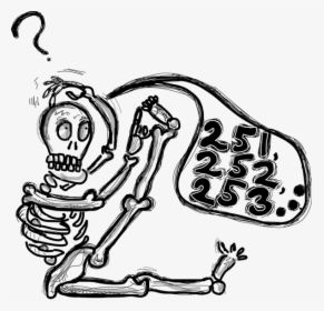 Adult Bones Number, HD Png Download, Free Download