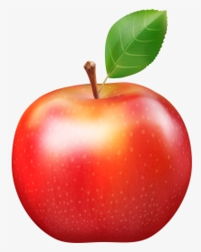 Apple Png Clipart , Png Download, Transparent Png, Free Download
