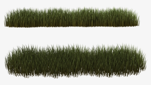 Dry Grass Clipart Desert Plant - Transparent Desert Plants Png, Png Download, Free Download