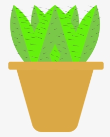 Cactus Plant, Plant, Desert Plant, Planter, HD Png Download, Free Download