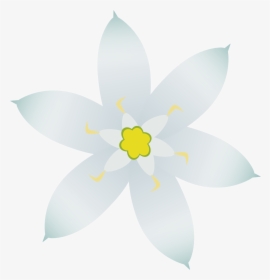 Clipart Stars Flower - White Flower Clipart In Png, Transparent Png, Free Download