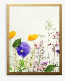 Diary Of Flowers Art Print - Pansy, HD Png Download, Free Download