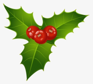 Holly Clipart Mistletoe Free - Christmas Mistletoe Clipart, HD Png Download, Free Download