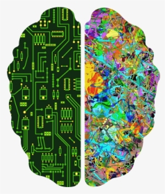 Creative Brain Png - Both Sides Of Brain Png, Transparent Png, Free Download
