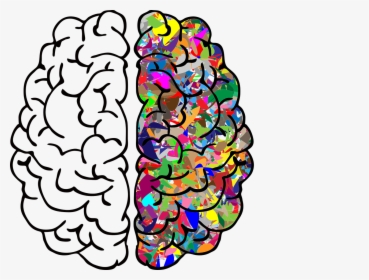 Integrating The Brain - Left Brain Right Brain Free, HD Png Download, Free Download