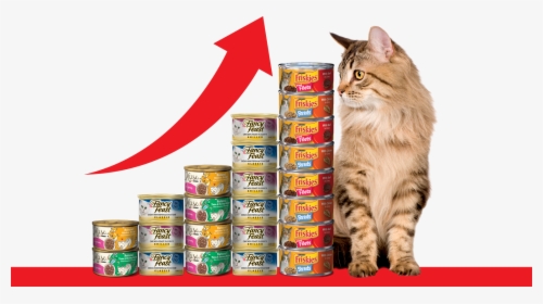 Cats With Cans - Domestic Long-haired Cat, HD Png Download, Free Download