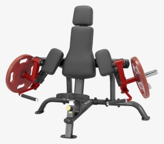 Plate Loaded Bicep Curl, HD Png Download, Free Download