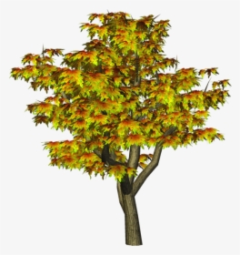 Fall Trees Png - Cb Edit Png All, Transparent Png, Free Download
