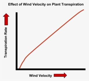 Wind Speed Transpiration Graph , Png Download - Wind Speed Transpiration Graph, Transparent Png, Free Download
