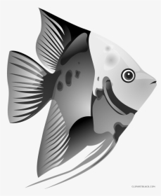 Transparent Fish Drawing Png - Tropical Fish Clipart, Png Download, Free Download