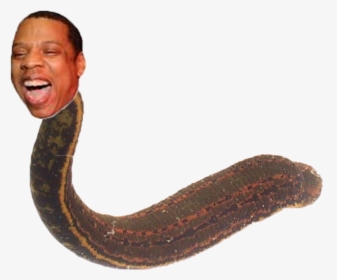 Jay Z Is A Snake, HD Png Download, Free Download