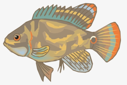 Different Fish Vector Set Png - Pomacentridae, Transparent Png, Free Download