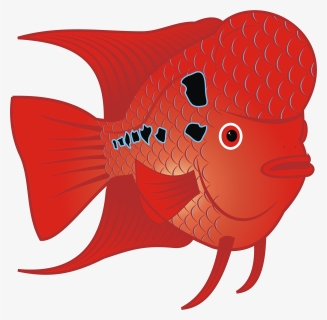Flowerhorn Clip Art, HD Png Download, Free Download