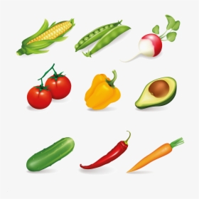 Common Vegetables, HD Png Download, Free Download