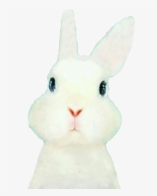 Domestic Rabbit Easter Bunny Hare Embroidery - Domestic Rabbit, HD Png Download, Free Download