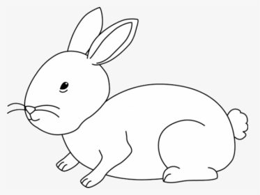 Hare Clipart Cute - Bunny Rabbits Black And White, HD Png Download, Free Download