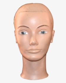 Mannequin Head Png - Transparent Background Mannequin Head Png, Png Download, Free Download