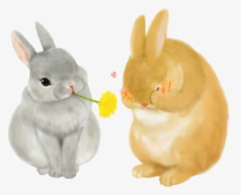 Clip Art Rabbits Cute - Bunny Illustrations, HD Png Download, Free Download
