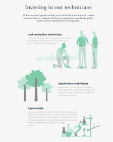 Farmer Support Diagram - Flyer, HD Png Download, Free Download