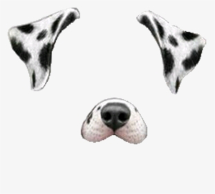 Dalmatian Dog Miniature Schnauzer Snapchat Clip Art - Snapchat Filters Cut Out, HD Png Download, Free Download