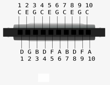 Harmonica C , Png Download - Digital Synthesizer, Transparent Png, Free Download