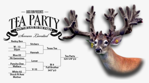 Tea Party Deer - Whitetail Deer Farming, HD Png Download, Free Download
