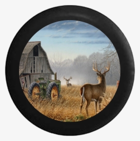 Transparent White Tailed Deer Png - Old Barn John Deere Paint, Png Download, Free Download