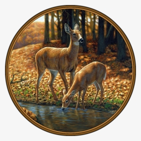 Whitetail Deer - Autumn Innocence 1, HD Png Download, Free Download