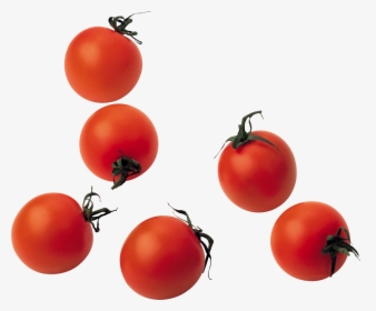Best Tomatoes Png - Tomatoes Png, Transparent Png, Free Download