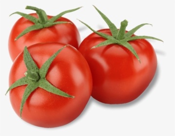 Transparent Tomate Clipart - Tomate Png, Png Download, Free Download
