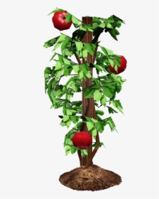 Tomato Plant Png - Tomato Plant Transparent, Png Download, Free Download