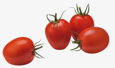 Plum Tomatoes - Plum Tomato Png, Transparent Png, Free Download