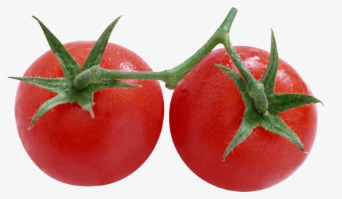 Cherry Clipart Tomatoe - Two Tomatoes Png, Transparent Png, Free Download