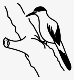 Woodpecker Png - Silueta De Pica Pau, Transparent Png, Free Download