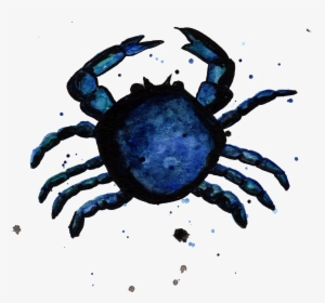 Blue Crab By Chrystal Elizabeth - Cancer, HD Png Download, Free Download