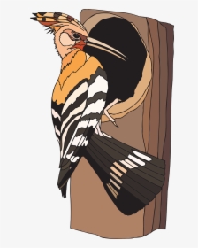 Transparent Woodpecker Png - Woodpecker Bird Nest Clipart, Png Download, Free Download