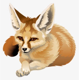 Transparent Fennec Fox Png - Drawings Of A Cartoon Fennec Fox, Png Download, Free Download