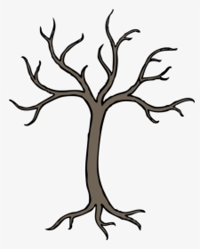 Collection Of Free Branches Drawing Real Tree Download - Tree With No Leaves Drawing, HD Png Download, Free Download