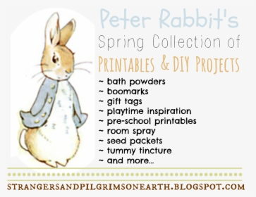 Strangers & Pilgrims On Earth - Peter Rabbit Classic, HD Png Download, Free Download